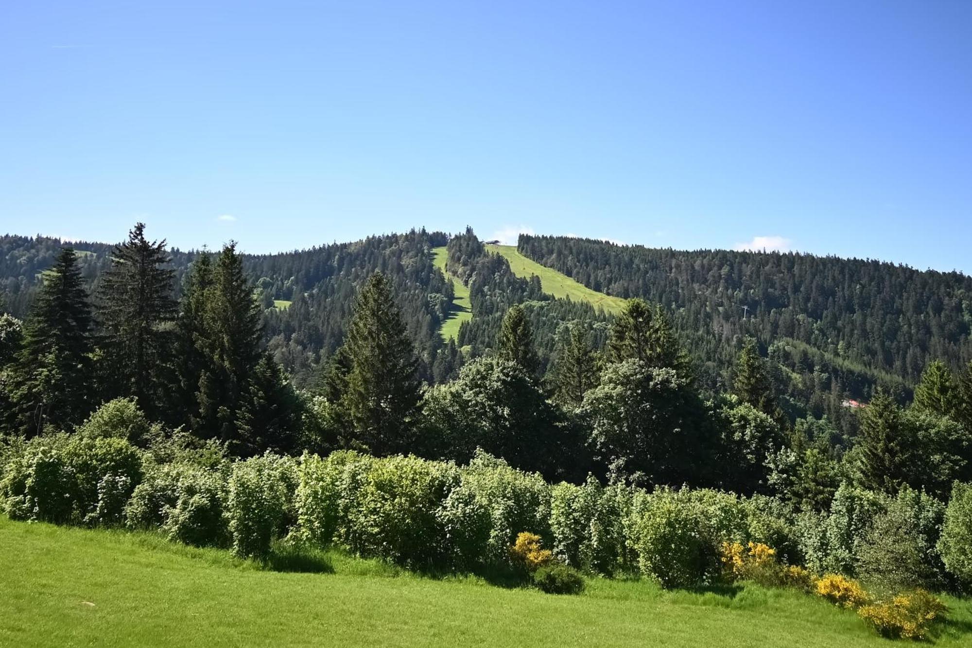Le Nid Des Vosges - Appt Vue Montagne Apartment Gérardmer Exterior foto